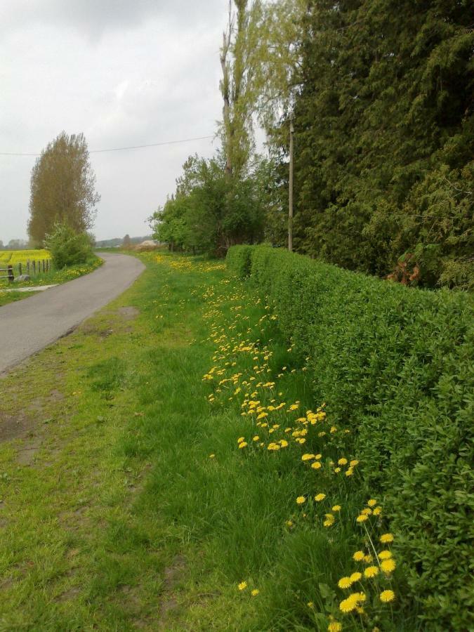 Apartments Zum Brauergang Garz  Eksteriør billede